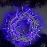 zo-th-1